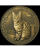 Challenge Coin personnalisée (pièce commémorative de collection)