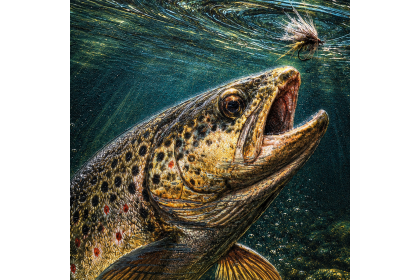 tableau décoratif nature. pêche . chasse